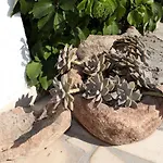 شقة Ivan Kaštel Sućurac